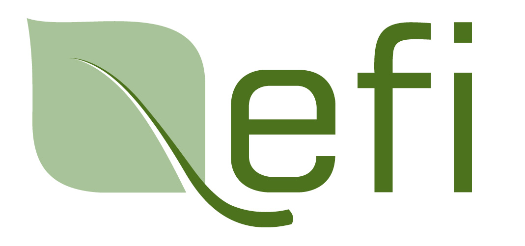 EFI